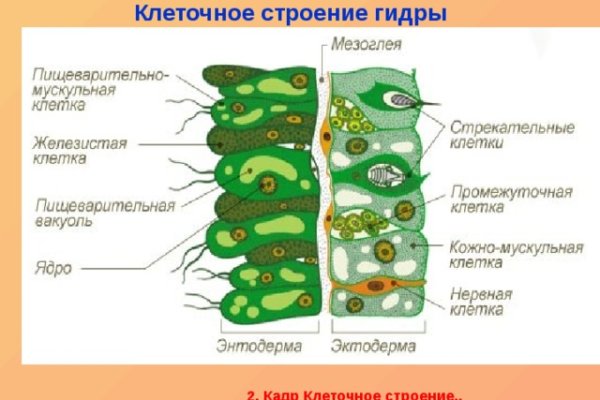 Black sprut зеркало официальный сайт bs2web top