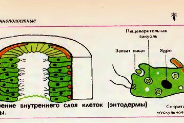 Black sprut market ссылки