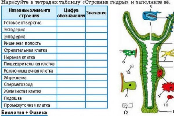 Блэк спрут рабочее зеркало blacksprut pl