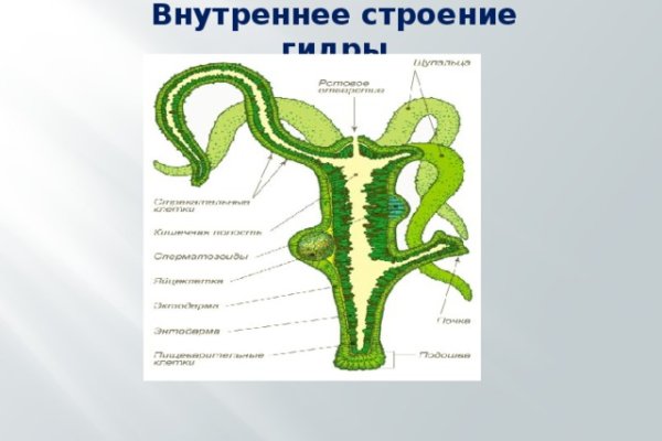 Клирнет как попасть blacksprut adress com